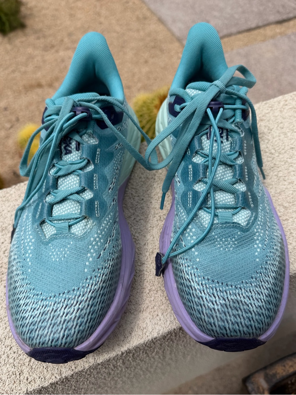 Hoka Speedgoat 5 Ocean Mist Lilac Train Running Shoes Women’s 8.5 Youth 7 Box